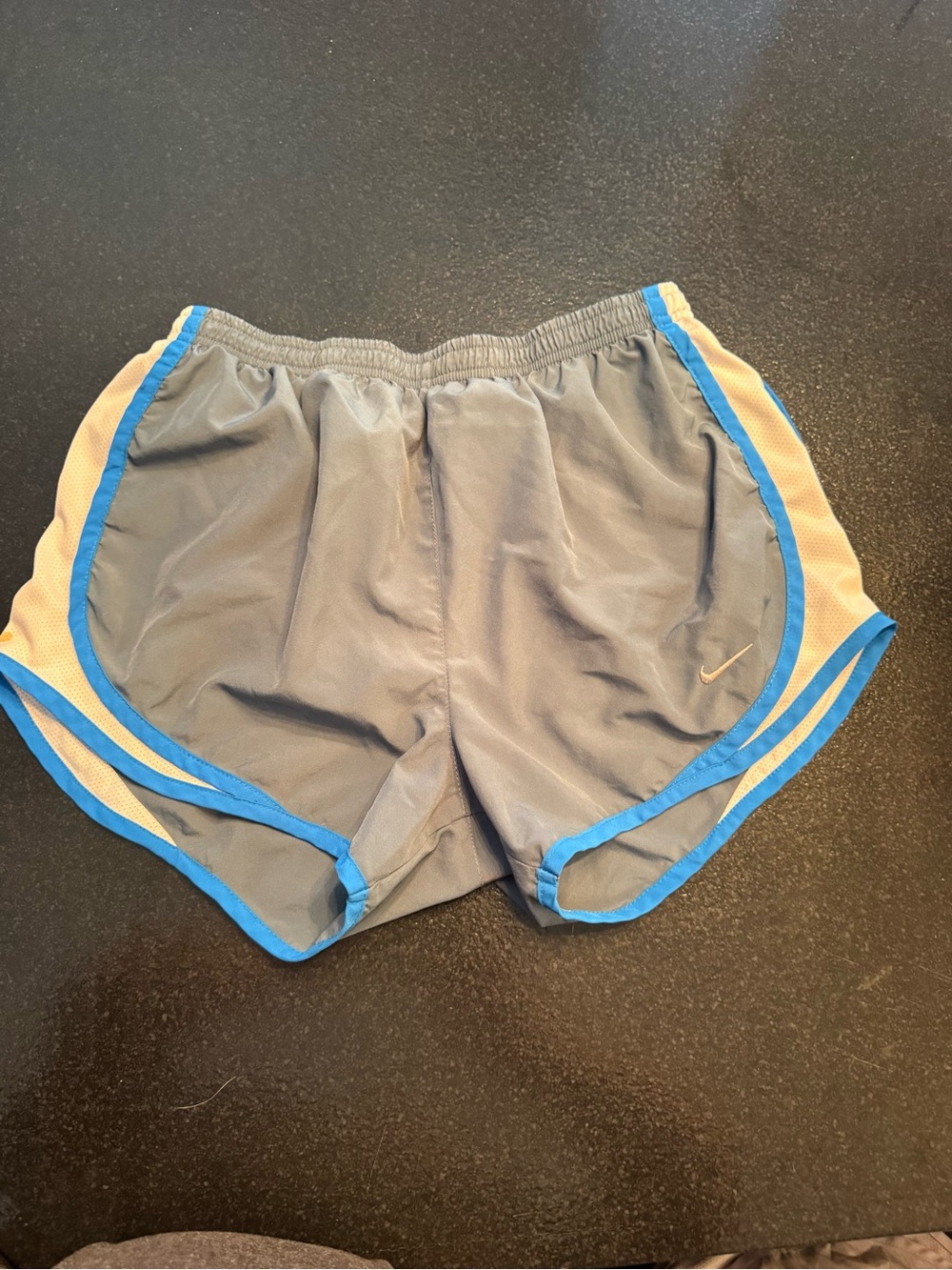 Nike Gray and Dark Blue Athletic Shorts